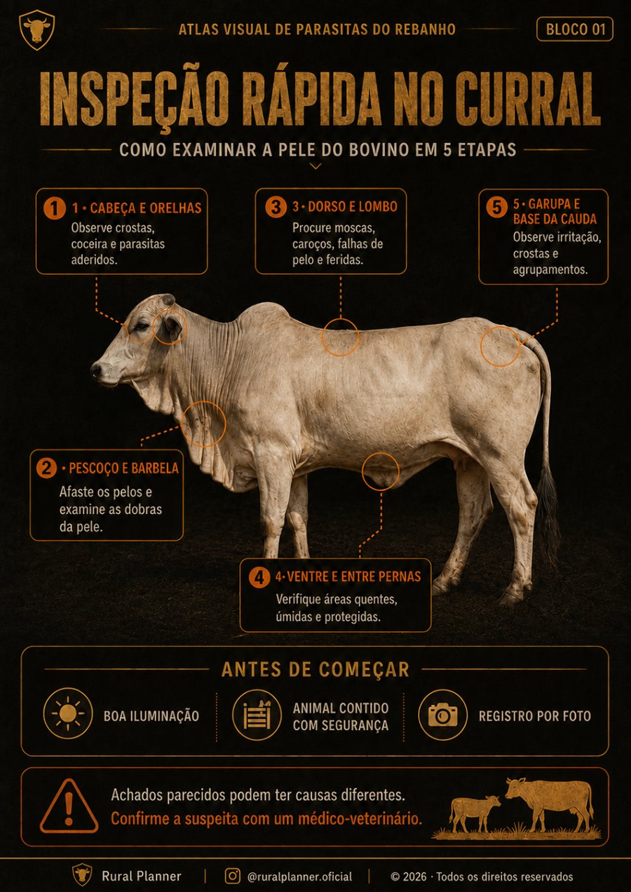 Amostra 5 do Atlas Visual de Parasitas do Rebanho